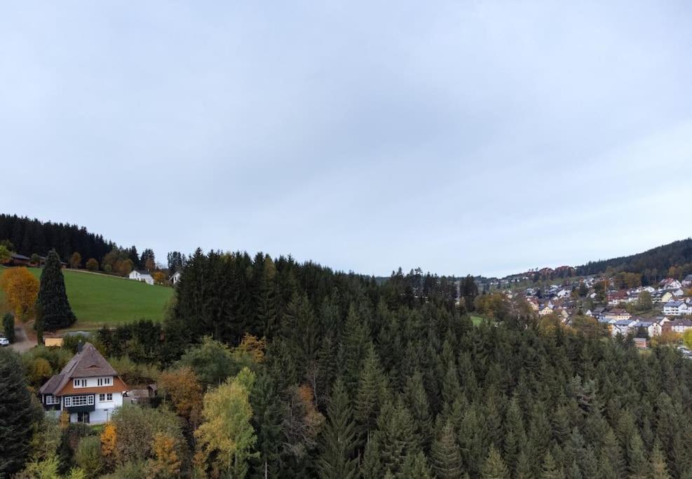 Exklusives Ferienhaus Am Waldrand Mit Whirlpool Und Sauna Villa Schonach im Schwarzwald Exterior foto